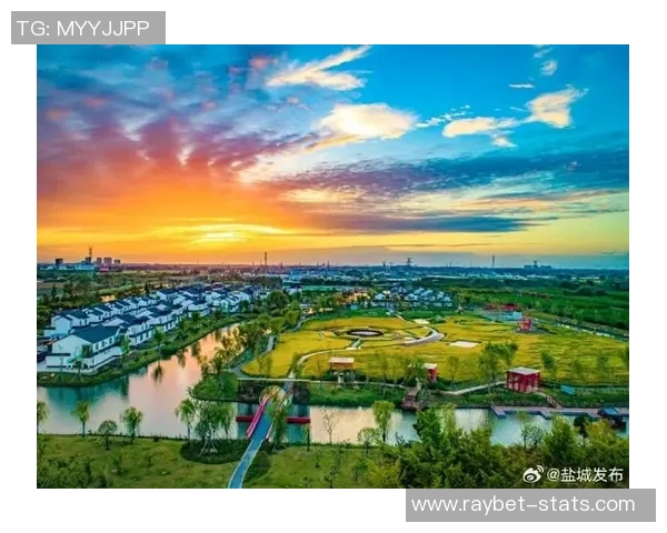 盐都姚明森：探索盐城的文化底蕴与自然风光之美